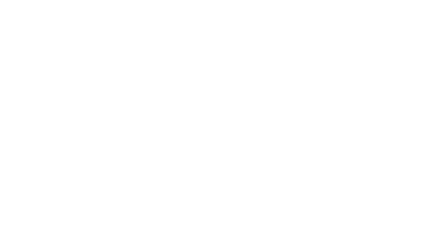 Death Stranding: Director's Cut logo